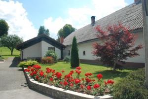 Rakitnik 20 (2)